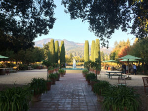 Abilitie deploys leadership programs and business simulations in Sonoma and worldwide